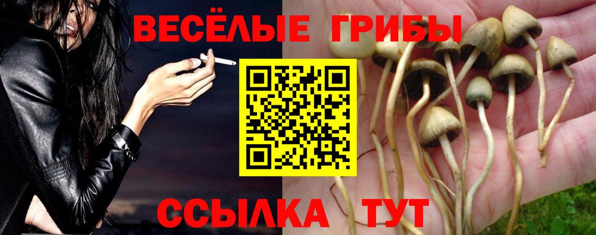 закладка  Псилоцибиновые грибы мицелий  Псилоцибиновые грибы GOLDEN TEACHER  Вход с VPN  Татарск 